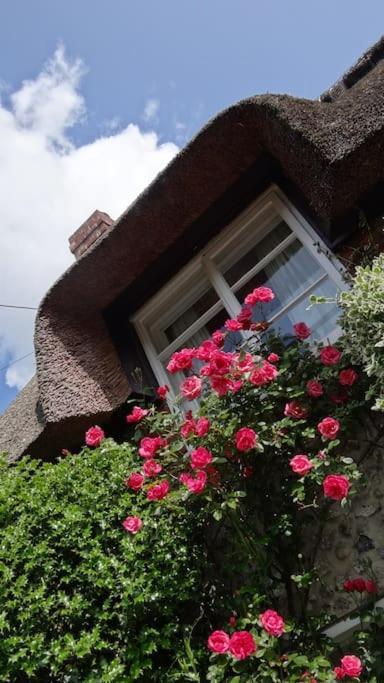 Little Thatch Cottage - Cerne Abbas, Dorset Εξωτερικό φωτογραφία