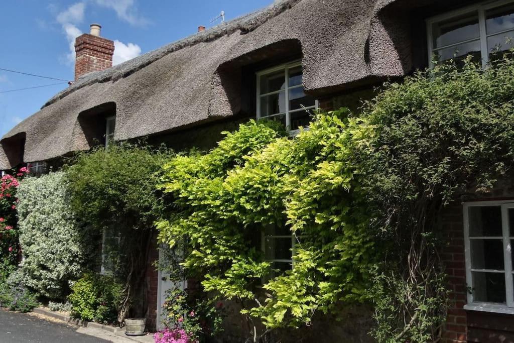 Little Thatch Cottage - Cerne Abbas, Dorset Εξωτερικό φωτογραφία
